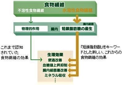 これからの食物繊維の考え方.jpg