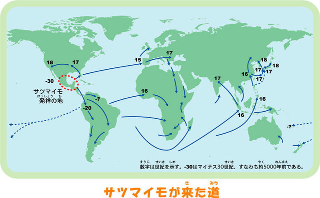 さつまいもが来た道.jpg
