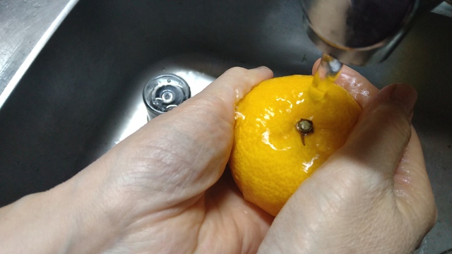 ゆず味噌 (3).JPG