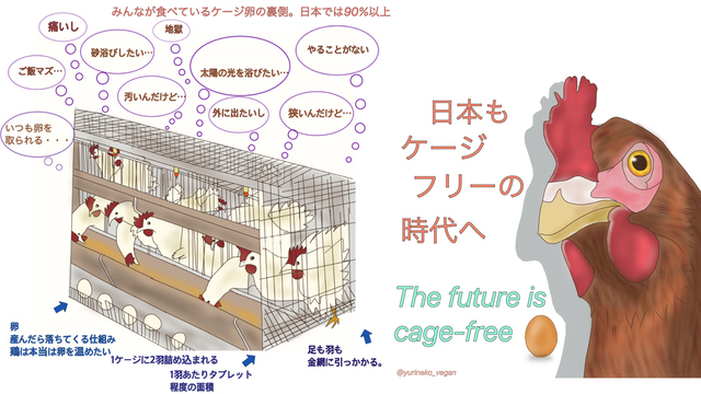 アニマルライツセンターHPより.jpg