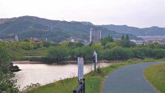 コロナ太り5⃣ (10).JPG