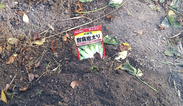 スリムちゃん農場⑩ (10).JPG