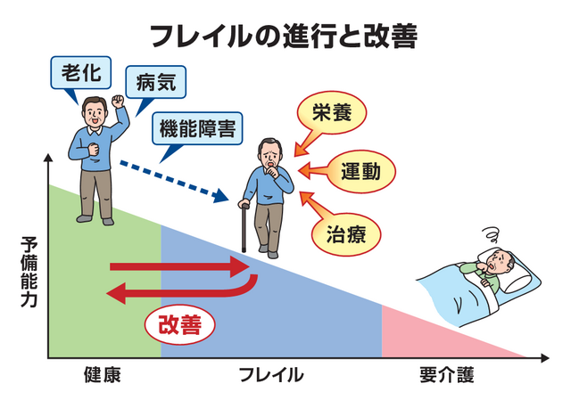 フレイルの進行と改善.png