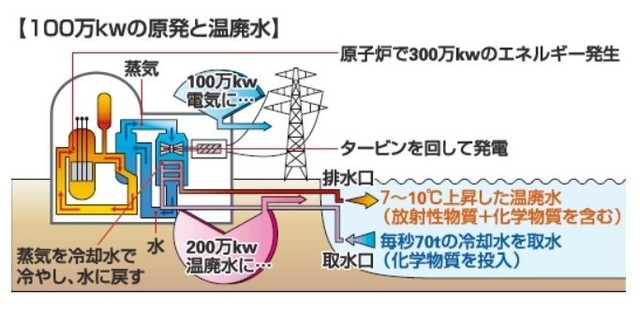 原発と温排水.jpg