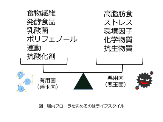 太陽化学株式会社HPより.gif
