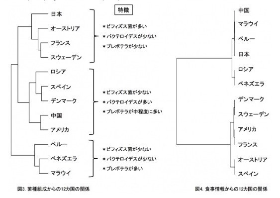 日本人と外国11か国の腸内細菌.jpg