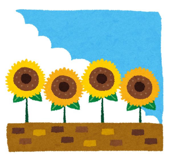 暑中お見舞いのイラスト「向日葵」.png