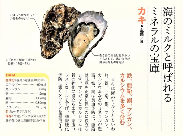 海のミルク「カキ」.jpg
