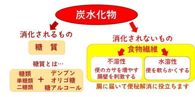 消化されない食物繊維.jpg
