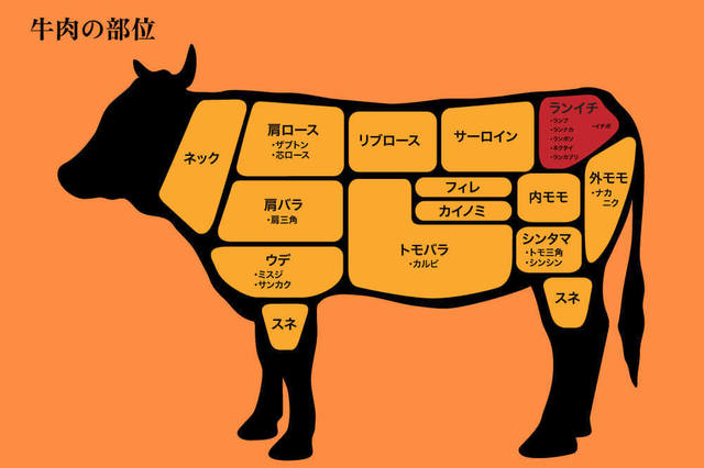 牛肉の部位.jpg