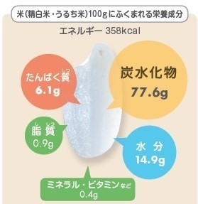精白米の栄養成分.jpg