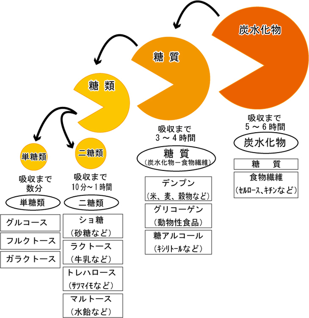 糖の種類と摂取してから吸収時間.jpg