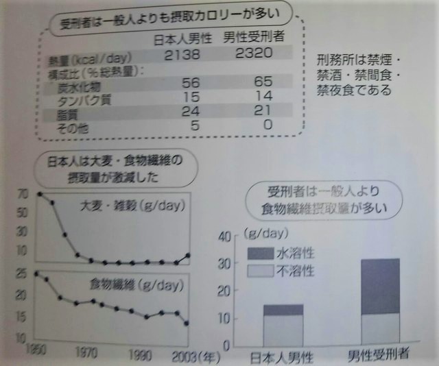 糖尿病を改善する食物繊維食のすすめ.jpg