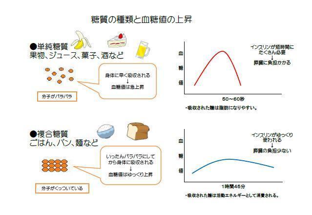 糖質の種類と血糖値の上昇.jpg