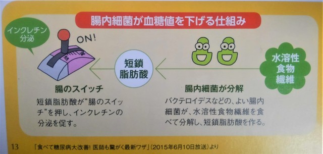 腸のスイッチ.jpg