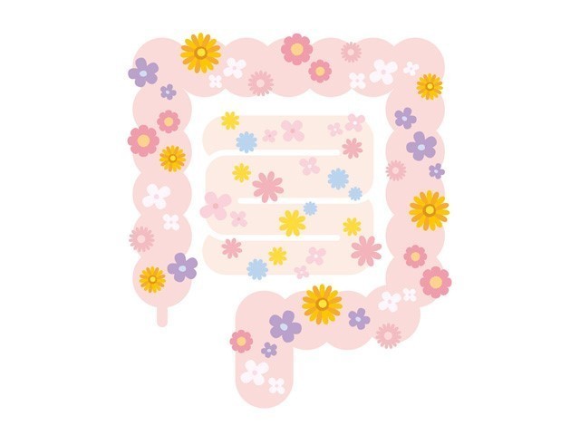腸内お花畑.jpg
