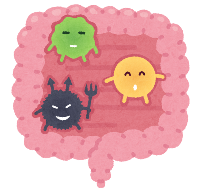 腸内細菌.png