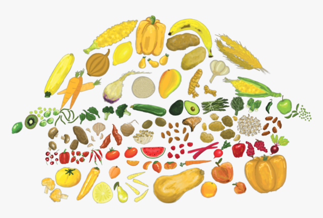 plant-based-food-illustration.png